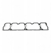 DS3939284 Valve Cover Gasket for Cummins B SEriEs and C SEriEs engines.