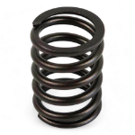 Perkins 3174P408 Valve Spring.