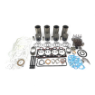 DSOK500 Caterpillar Complete Engine Overhaul Kit for Caterpillar 3054 engines.