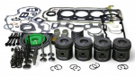 DSOK518 Complete Overhaul Kit for Caterpillar 3054C and 3054E engines.