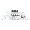 DSBK529 Basic Engine Kit for Caterpillar 3054T engines.